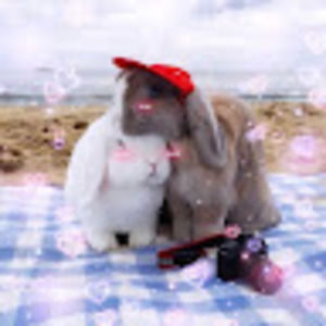 Meet your Posher, Bryan